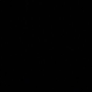 Meet your Posher, Jessie